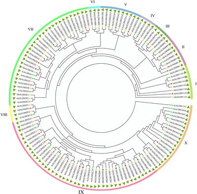 Genome-wide characterization of aldehyde dehydrogenase gene family members in groundnut (Arachis hypogaea) and the analysis under saline-alkali stress